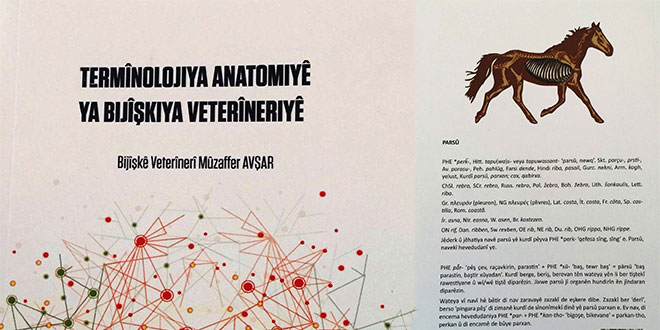 Termînolojiya Anatomiyê ya Bijîşkiya Veterîneriyê