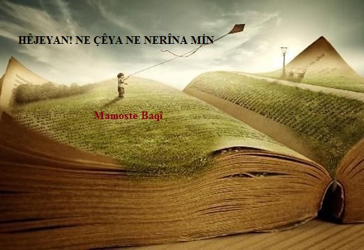 HÊJEYAN! NE ÇÊYA NE NERÎNA MİN