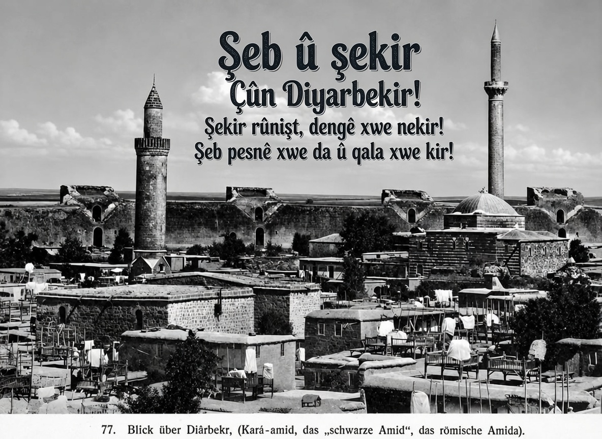 BI NÊRÎNEKE DERÛNKOLERÎ: “ŞEB Û ŞEKIR”